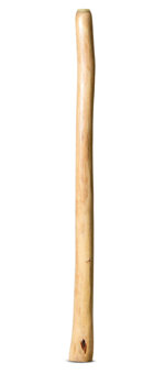 Medium Size Natural Finish Didgeridoo (TW1606)